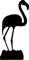 Flamingo Rechts